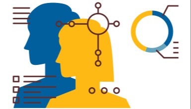 DETAILED PROFILE OF THE PURCHASER